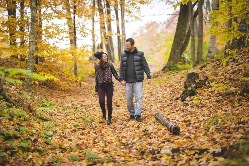 A forest path in autumn near Horst