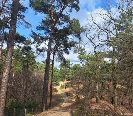 Wandelen | Boshuizerbergen | Parkhotel Horst