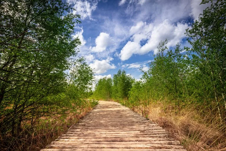 Nationalpark De Groote Peel