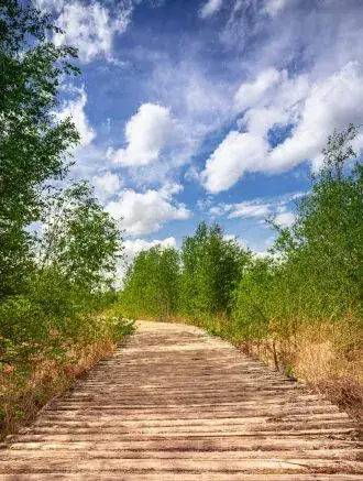 Nationaal Park De Peel