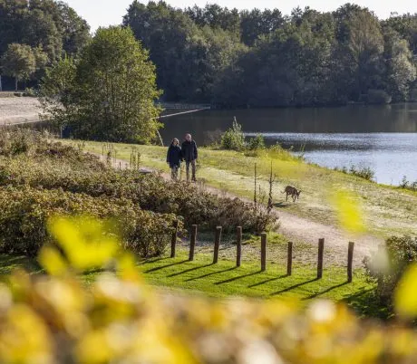 Wandelen | Kasteelsebossen | Parkhotel Horst