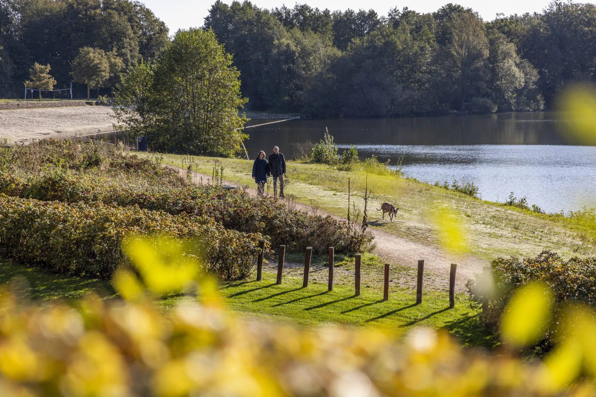 Wandelen | Kasteelsebossen | Parkhotel Horst