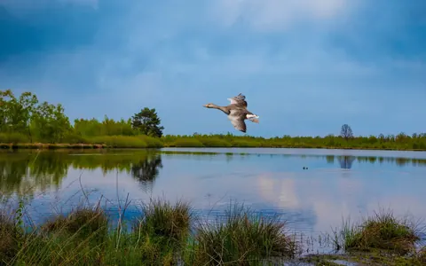 Nationaal Park de Maasduinen