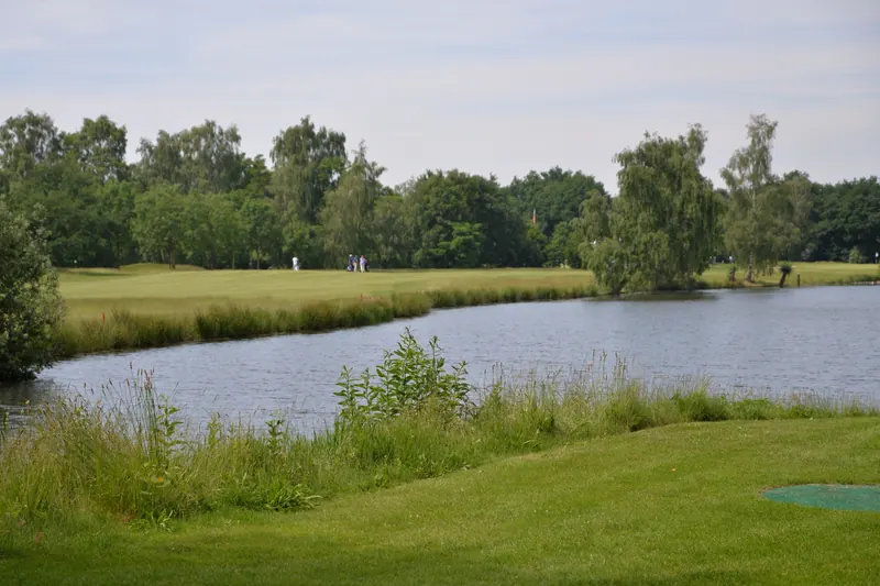 Pond beside a fairway of Golf- en Countryclub Geijsteren