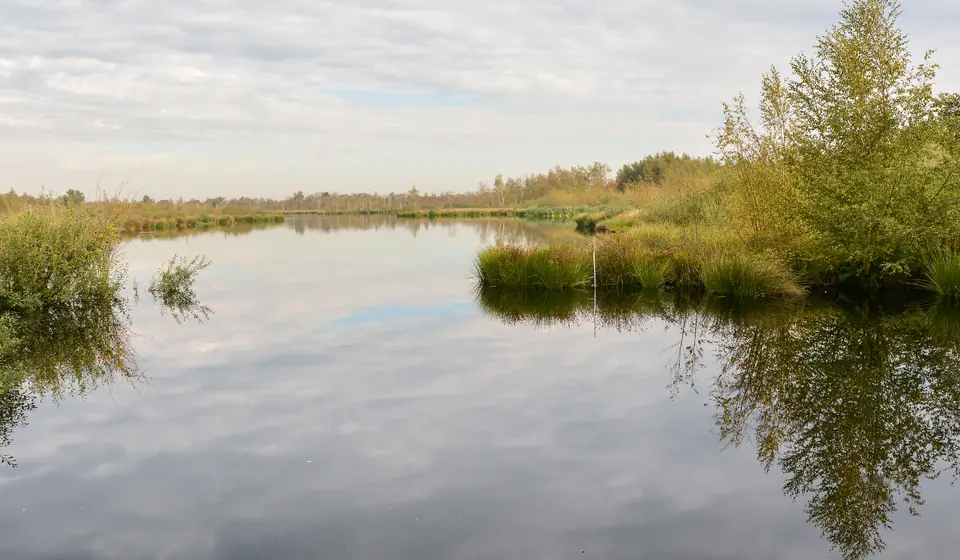 Das Meerbaansblaak in De Groote Peel, ein stiller Moorsee mit Birken am Ufer