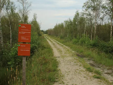 Sandweg durch das Moor mit Wegweisern des Nationalparks