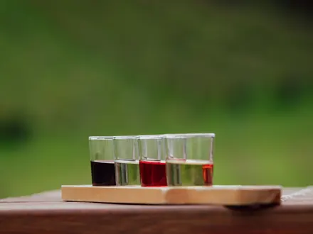 Probierbrett mit kleinen Gläsern in verschiedenen Farben