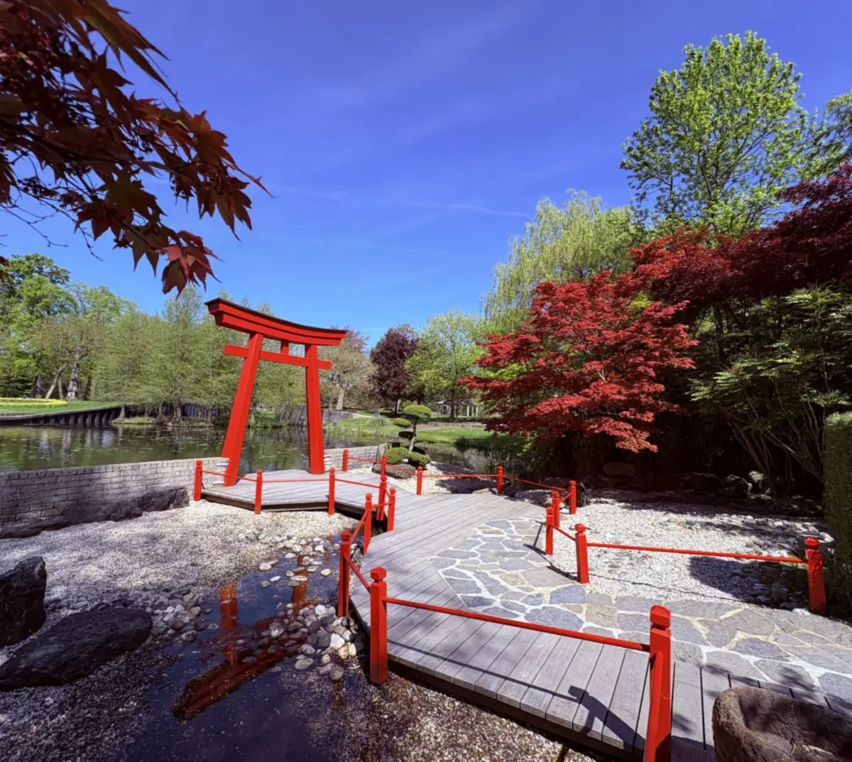 Das rote Tor und der Holzsteg im Östlichen Wassergarten, zwischen japanischen Ahornen