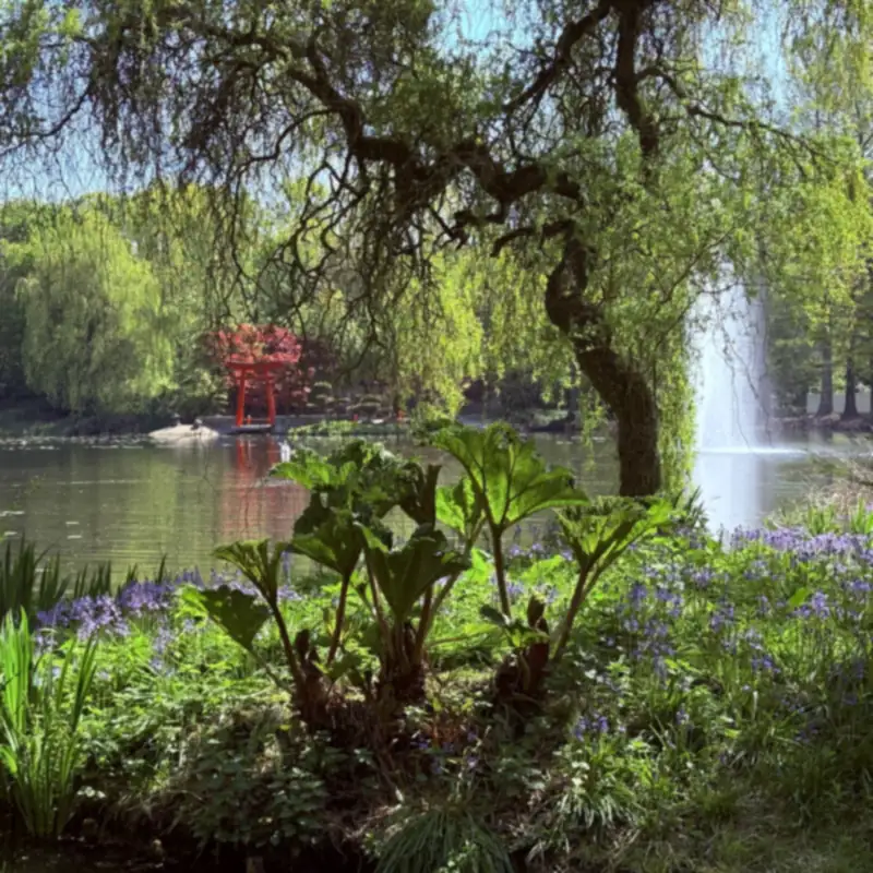Teich mit Springbrunnen und Trauerweide in den Schlossgärten Arcen, mit dem roten Tor des Östlichen Wassergartens