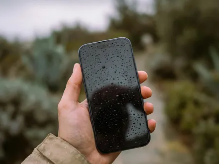 Hand hält ein Smartphone über einen Gartenweg