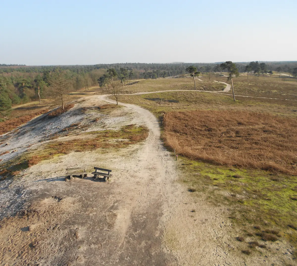 Eine Parabeldüne mit kahlem Flugsand und einem Sandweg beim Bergerbos, vom Aussichtsturm aus gesehen