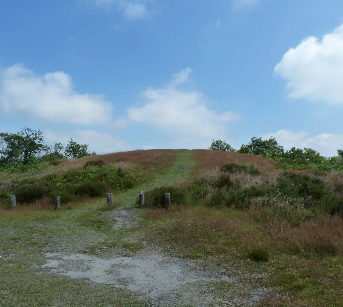 Das Vorstengraf auf dem Landgut De Hamert, ein bewachsener Grabhügel mit einem Grasweg zur Kuppe