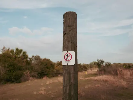 Holzpfahl mit einem Verbotsschild an einem Weg durch Heide und Sträucher