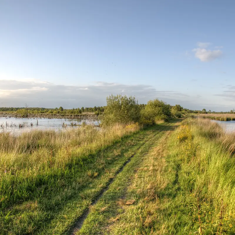 Grass path between peat pools in the Mariapeel near the Koolweg