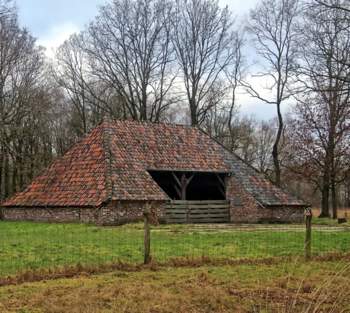 Sheepfold with a tiled roof among bare oaks in the Mariapeel