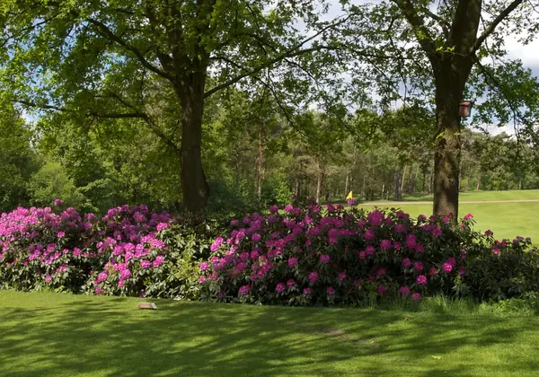 Golf- en Countryclub Geijsteren