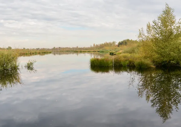Das Meerbaansblaak, ein stiller Weiher in De Groote Peel