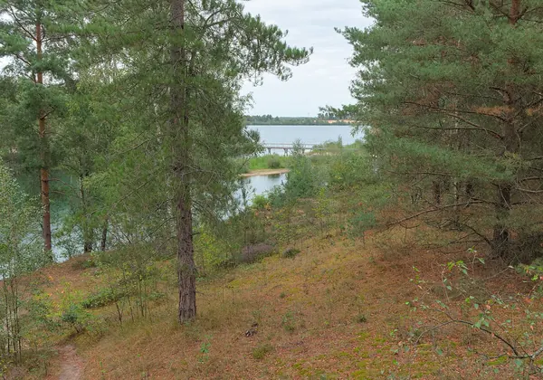 Der Reindersmeer im Nationalpark De Maasduinen