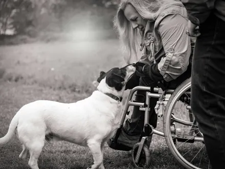 Hund begrüßt eine Frau im Rollstuhl, Schwarz-Weiß-Foto