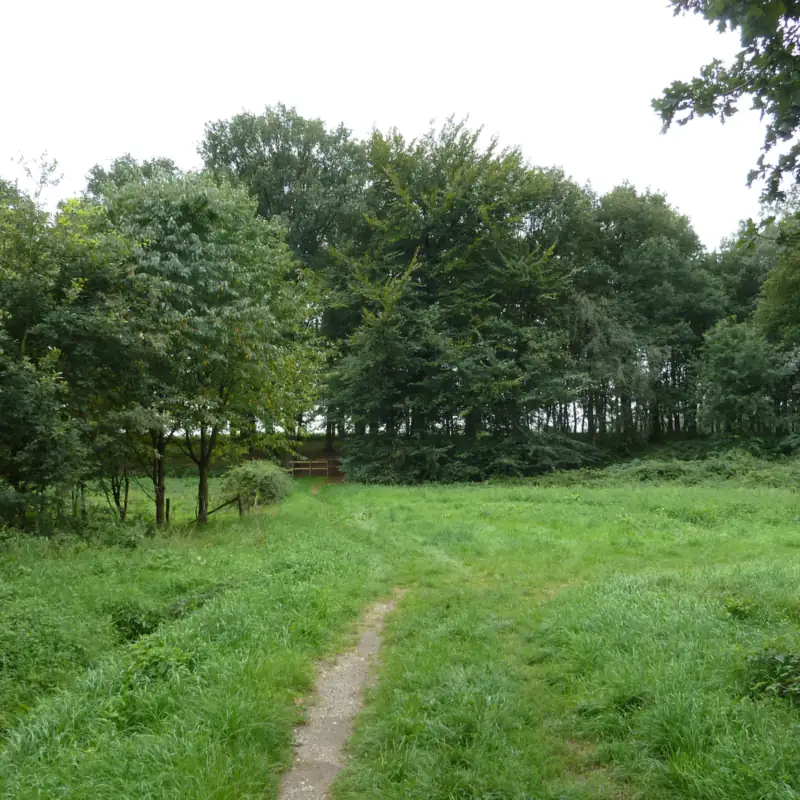 Schmaler Wanderweg durch das Gras bei der Sint Goarkapel, am Pieterpad