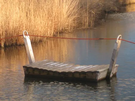 Hölzerne Seilfähre an einem Kabel über das Wasser, mit Schilf am Ufer