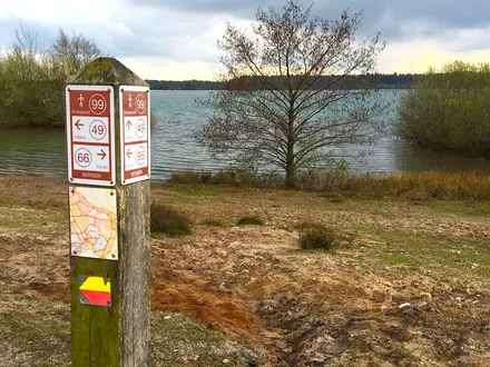 Wanderpfahl mit Knotenpunkt 99 und einer gelb-roten Markierung am Ufer des Reindersmeer