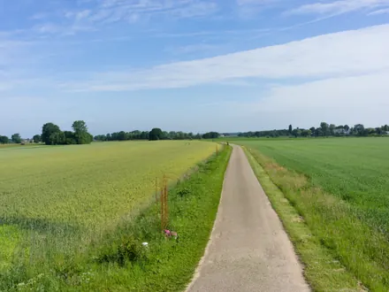 Schmaler Radweg zwischen Feldern am Maasufer bei Lottum
