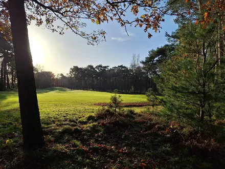 Fairway zwischen den Bäumen auf dem Golfplatz De Swinkelsche