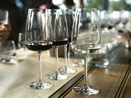 Glasses of red and white wine on a long table during a group tasting