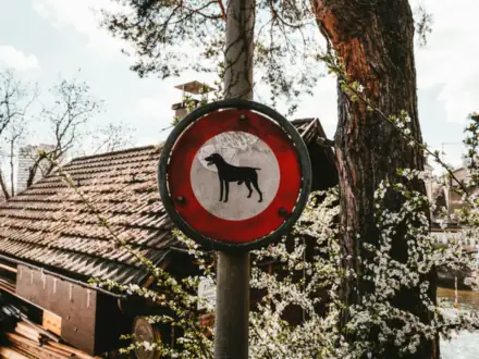 Round no-dogs sign on a post