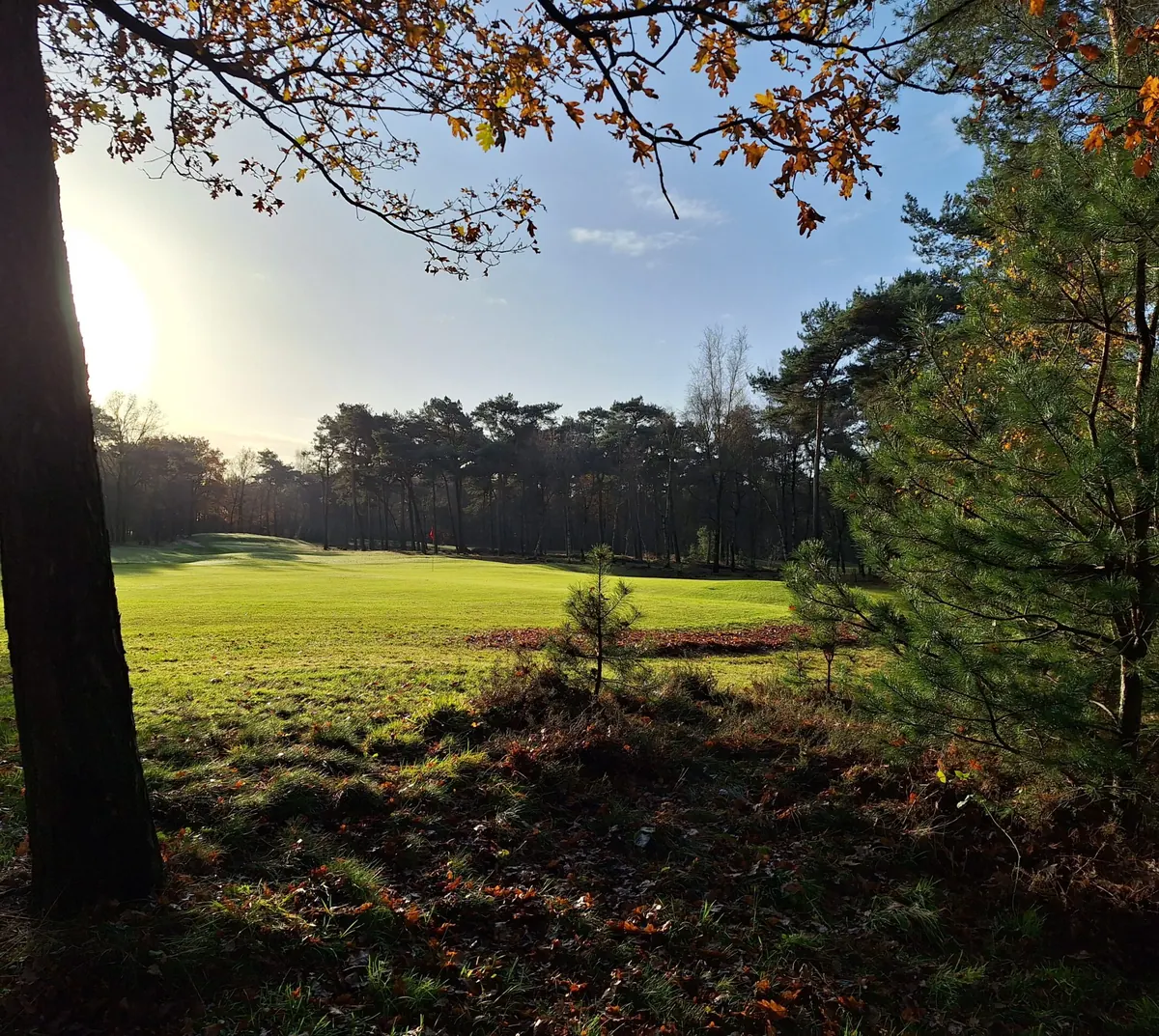 Fairway tussen het bos op Golfbaan De Swinkelsche