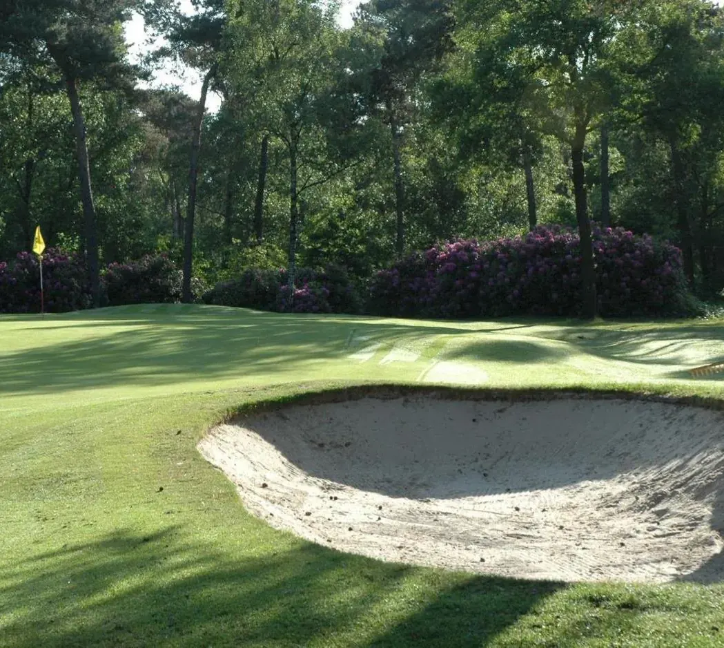 Green met bunker tussen bomen en rododendrons in Geijsteren