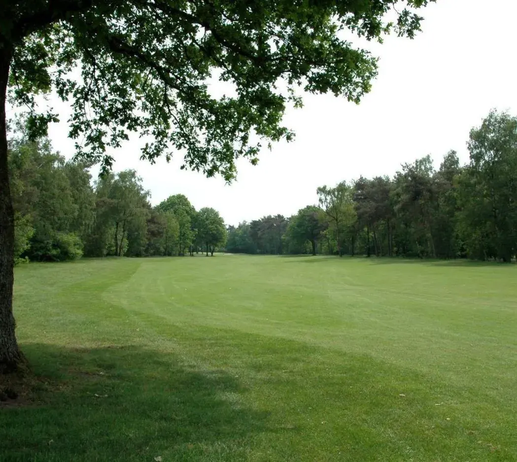 Fairway door het bos op Golf- en Countryclub Geijsteren