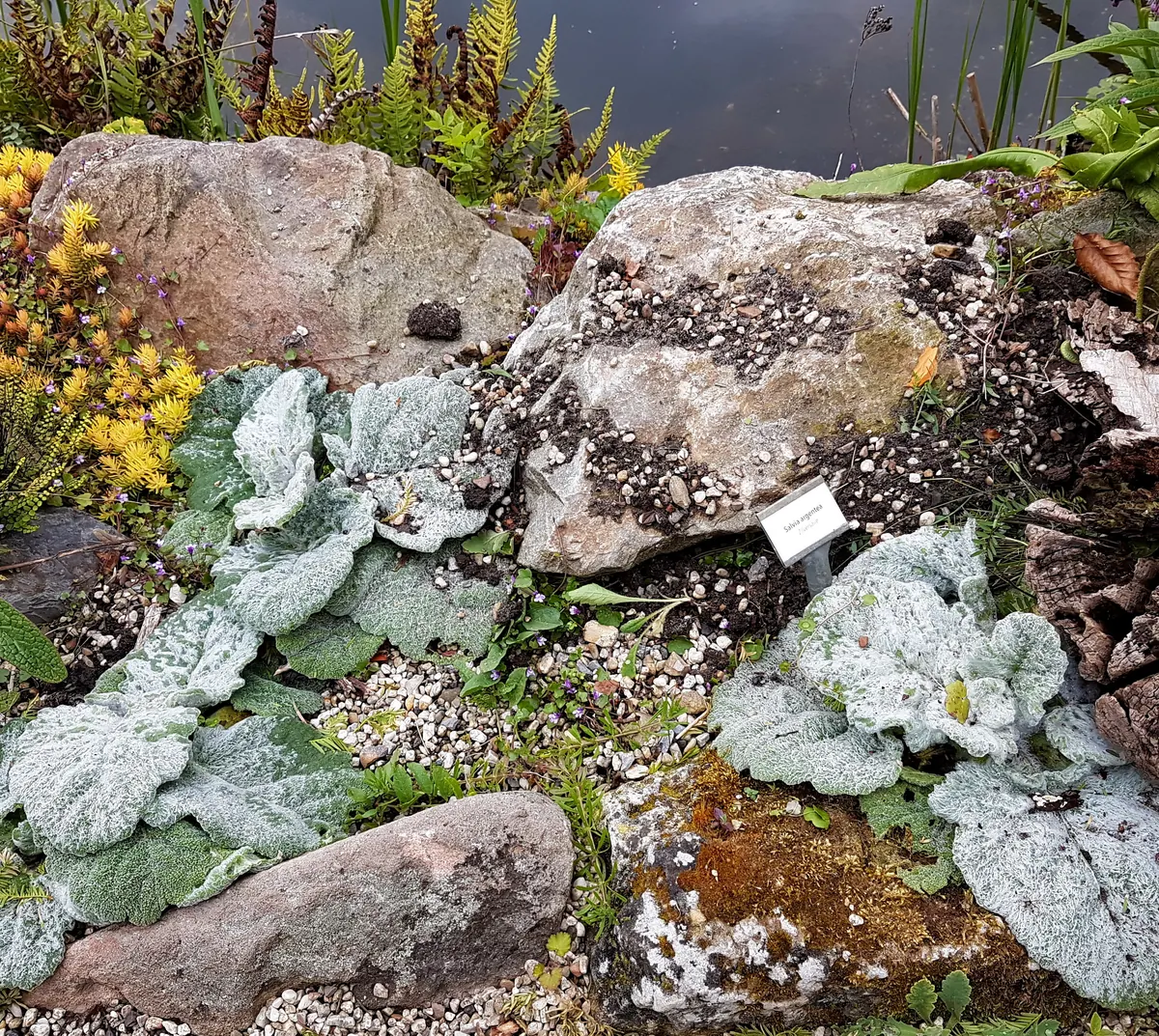 Rotstuin in botanische tuin Jochumhof in Steyl