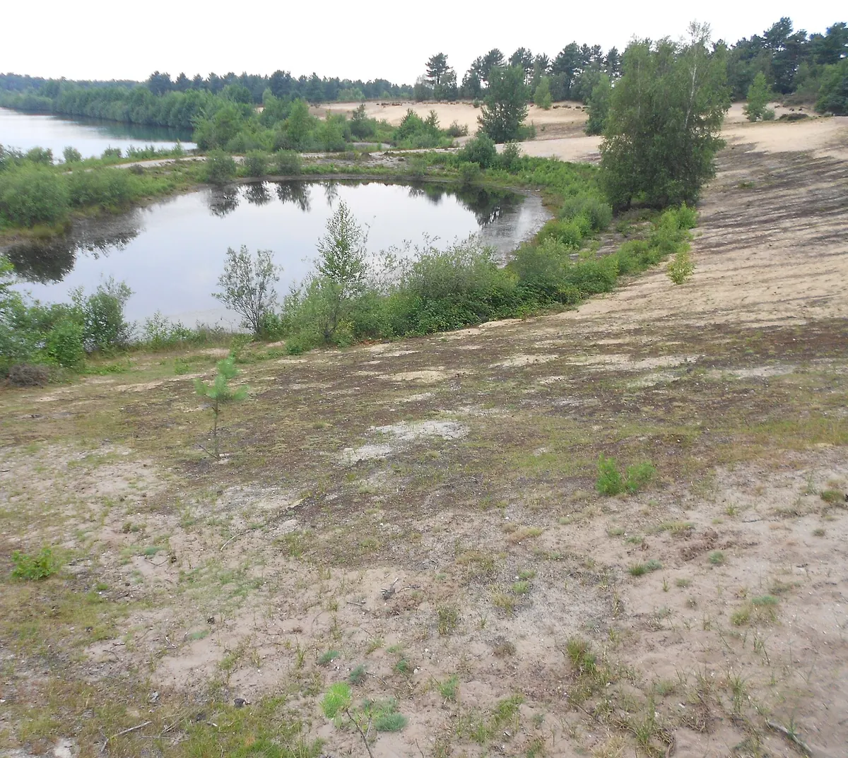 Flugsandfläche mit einem Weiher am Rand des Reindersmeer
