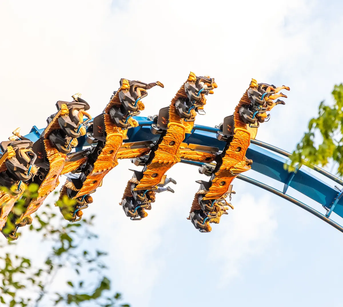 Achtbaan Fenix in attractiepark Toverland