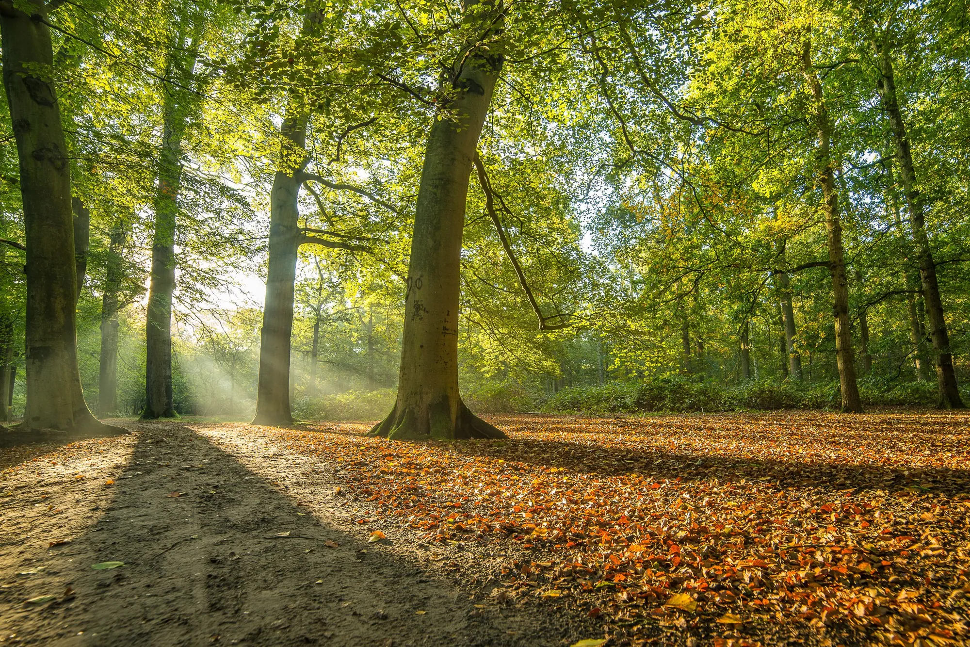 Omgeving & natuur