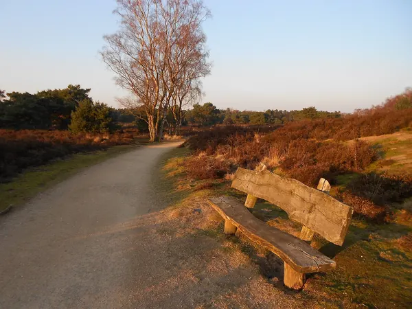 Bankje op de Bergerheide bij het Eendenmeer