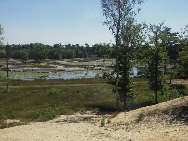 Ven en stuifzand in de Ravenvennen bij Lomm