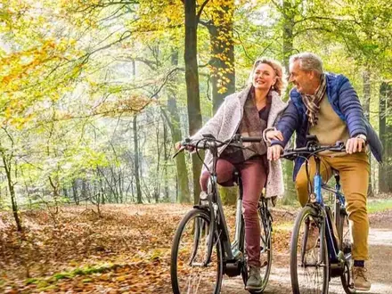 Stel op de e-bike door de herfstige bossen bij Horst