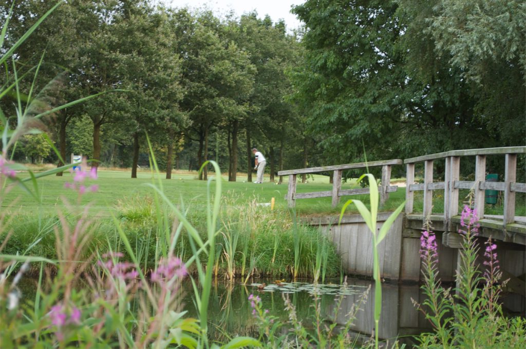 Golfarrangement foto 10
