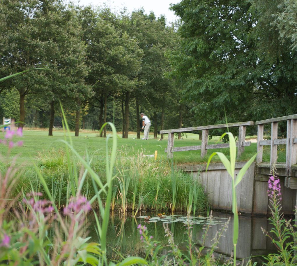 Golf-Arrangement foto 3