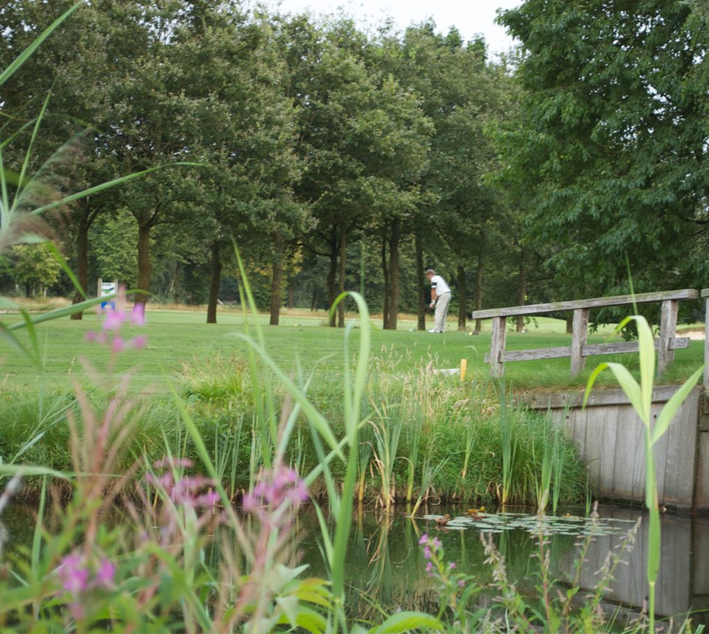 Golfarrangement foto 9