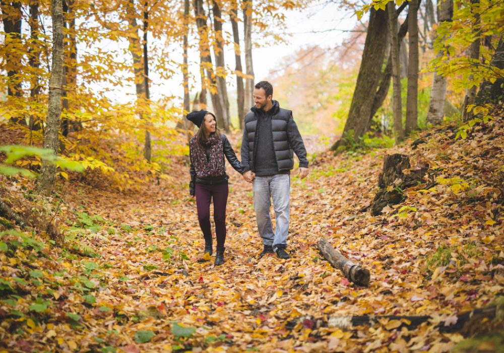 Herfst in Noord Limburg | Parkhotel Horst | Arrangementen