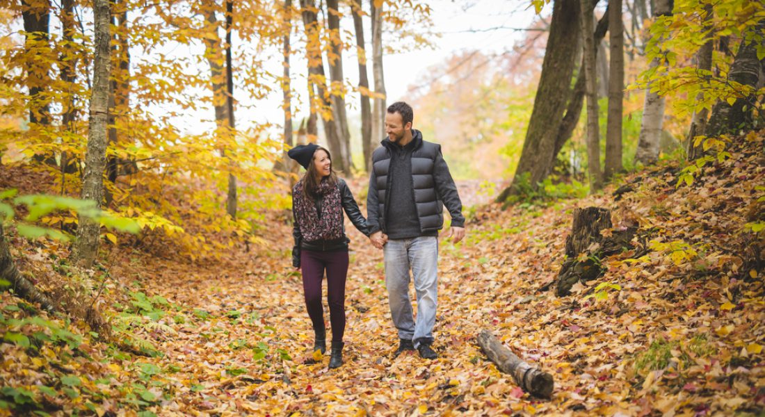 Herfst in Noord Limburg | Parkhotel Horst | Arrangementen