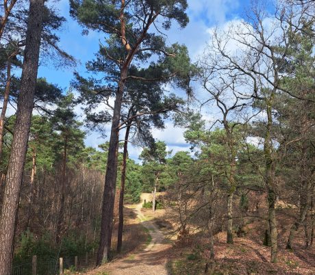 Wandelen | Boshuizerbergen | Parkhotel Horst