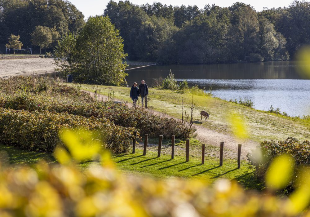 Wandelen | Kasteelsebossen | Parkhotel Horst