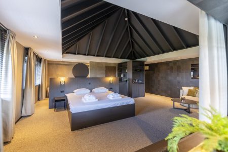 Torensuite Parkhotel Horst