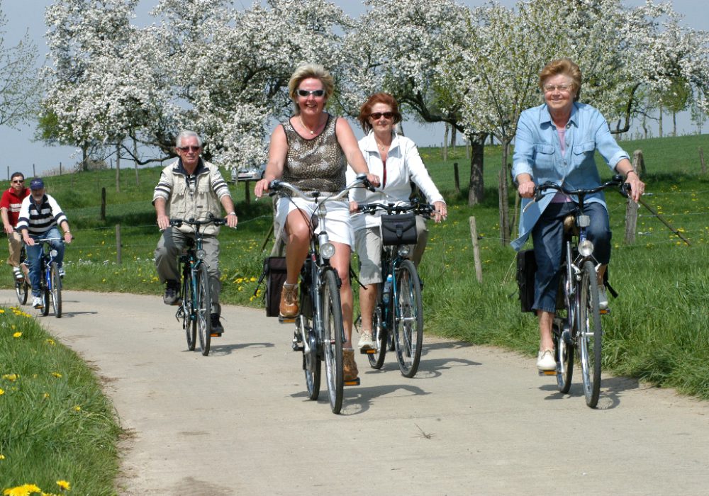 Fietsvierdaagse Venray - Horst