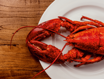 Lobster Friday | Kreeft | Parkhotel Horst | Noord Limburg | Restaurant BØFF
